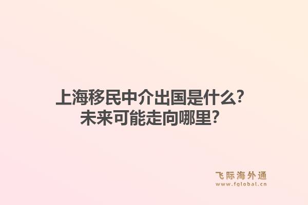 上海移民中介出国是什么？未来可能走向哪里？1.jpg
