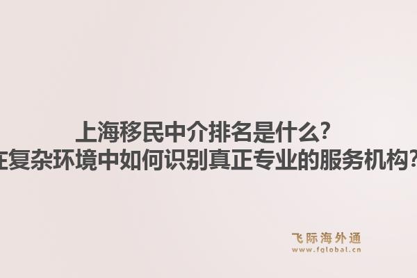 上海移民中介排名是什么？在复杂环境中如何识别真正专业的服务机构？