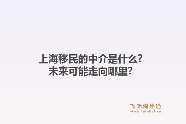 上海移民的中介是什么？未来可能走向哪里？