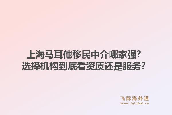 上海马耳他移民中介哪家强？选择机构到底看资质还是服务？