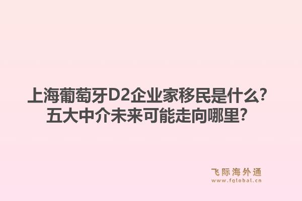 上海葡萄牙D2企业家移民是什么？五大中介未来可能走向哪里？