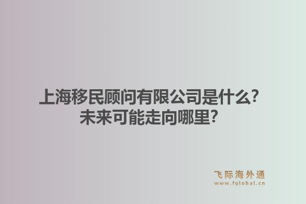 上海移民顾问有限公司是什么?未来可能走向哪里?1.jpg