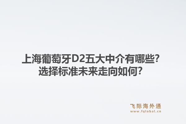 上海葡萄牙D2五大中介有哪些?选择标准未来走向如何?1.jpg