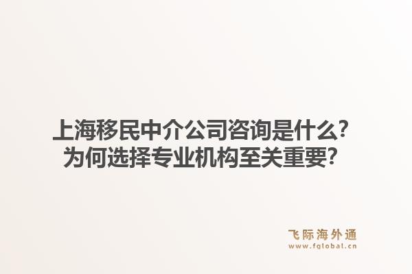 上海移民中介公司咨询是什么?为何选择专业机构至关重要?1.jpg
