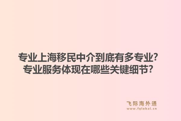 专业上海移民中介到底有多专业？专业服务体现在哪些关键细节？