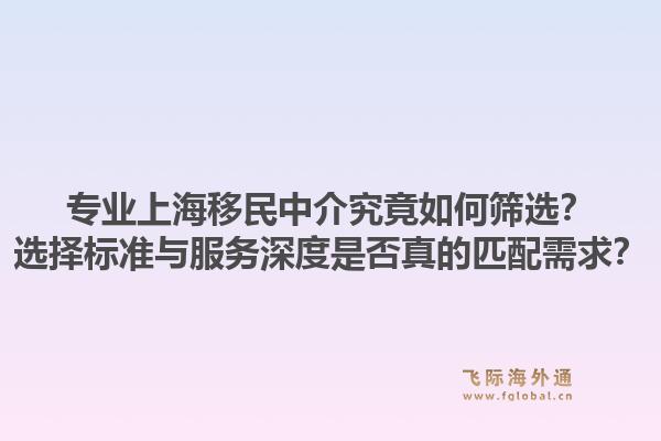 专业上海移民中介究竟如何筛选？选择标准与服务深度是否真的匹配需求？