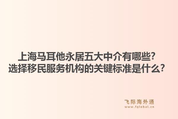 上海马耳他永居五大中介有哪些?选择移民服务机构的关键标准是什么?1.jpg