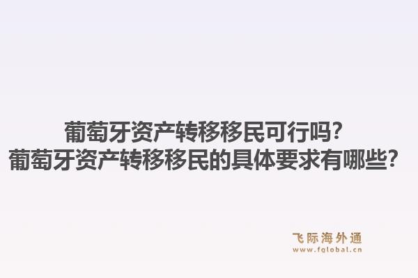 葡萄牙资产转移移民可行吗?葡萄牙资产转移移民的具体要求有哪些?1.jpg
