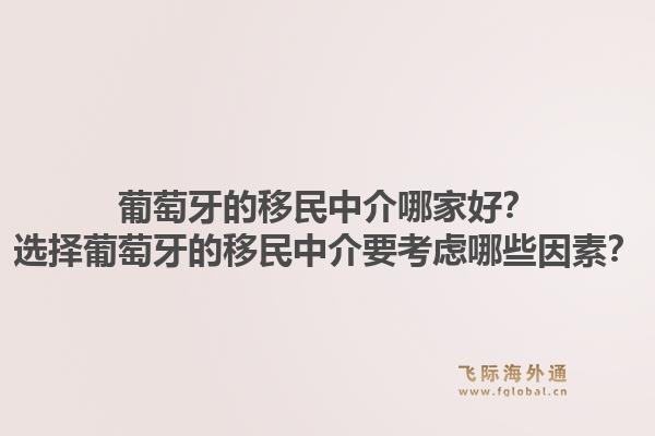 葡萄牙的移民中介哪家好?选择葡萄牙的移民中介要考虑哪些因素?1.jpg