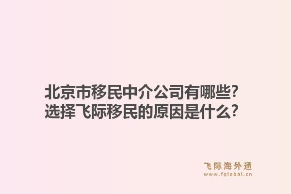 北京市移民中介公司有哪些？选择飞际移民的原因是什么？