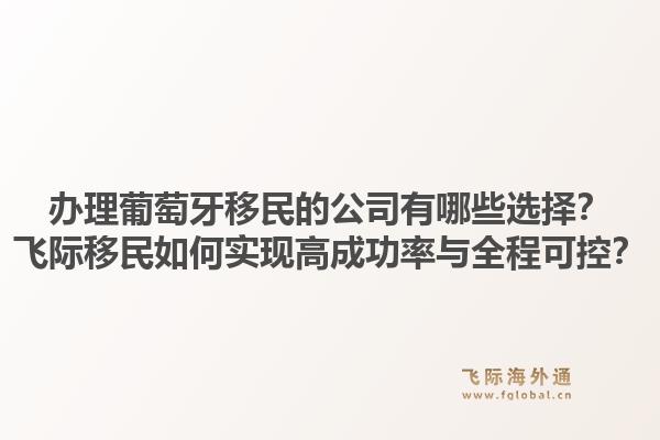 办理葡萄牙移民的公司有哪些选择？飞际移民如何实现高成功率与全程可控？1.jpg