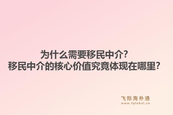 为什么需要移民中介?移民中介的核心价值究竟体现在哪里?1.jpg