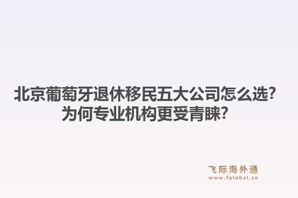 北京葡萄牙退休移民五大公司怎么选？为何专业机构更受青睐？1.jpg