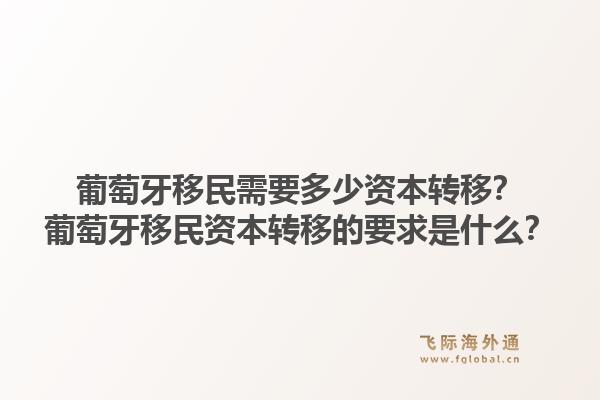 葡萄牙移民需要多少资本转移？葡萄牙移民资本转移的要求是什么？1.jpg