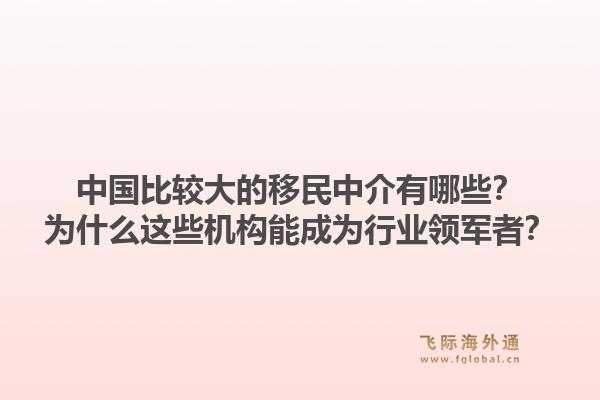 中国比较大的移民中介有哪些？为什么这些机构能成为行业领军者？1.jpg
