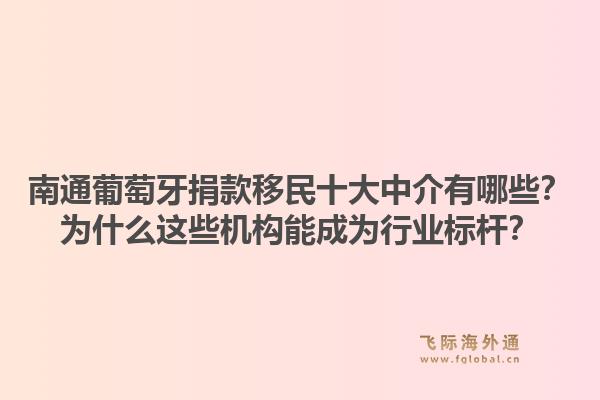 南通葡萄牙捐款移民十大中介有哪些？为什么这些机构能成为行业标杆？1.jpg