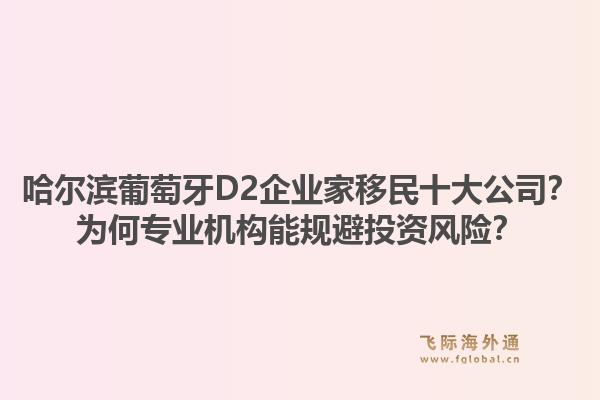 哈尔滨葡萄牙D2企业家移民十大公司？为何专业机构能规避投资风险？1.jpg
