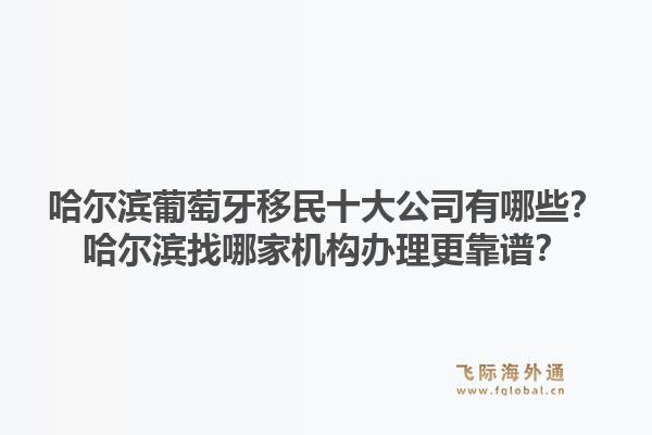 哈尔滨葡萄牙移民十大公司有哪些？哈尔滨找哪家机构办理更靠谱？1.jpg