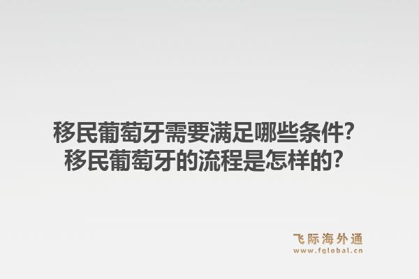 移民葡萄牙需要满足哪些条件？移民葡萄牙的流程是怎样的？1.jpg
