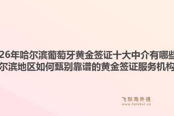 2026年哈尔滨葡萄牙黄金签证十大中介有哪些？哈尔滨地区如何甄别靠谱的黄金签证服务机构？1.jpg