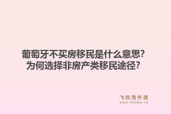 葡萄牙不买房移民是什么意思？为何选择非房产类移民途径？1.jpg
