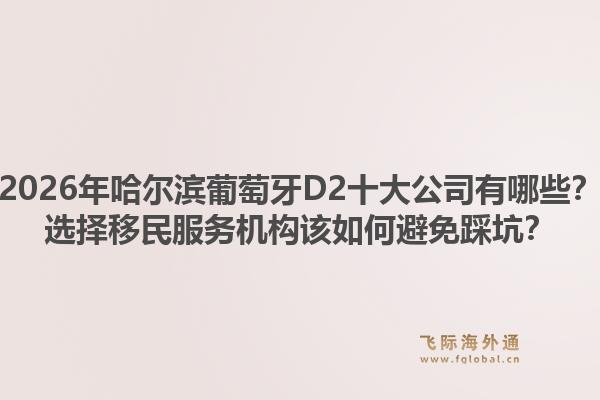 2026年哈尔滨葡萄牙D2十大公司有哪些？选择移民服务机构该如何避免踩坑？