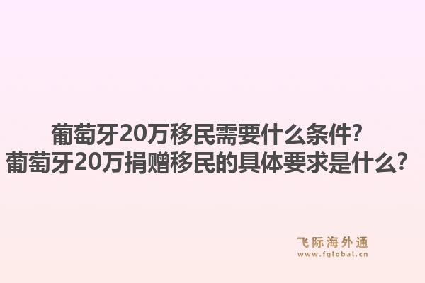 葡萄牙20万移民需要什么条件?葡萄牙20万捐赠移民的具体要求是什么?1.jpg