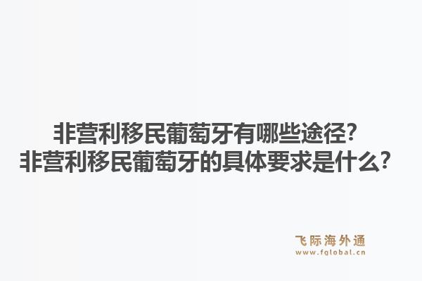 非营利移民葡萄牙有哪些途径?非营利移民葡萄牙的具体要求是什么?1.jpg