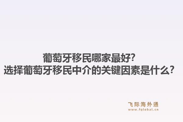 葡萄牙移民哪家最好?选择葡萄牙移民中介的关键因素是什么?1.jpg