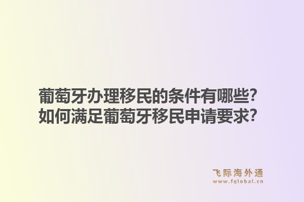 葡萄牙办理移民的条件有哪些?如何满足葡萄牙移民申请要求?1.jpg
