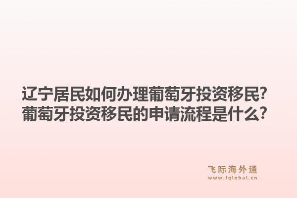 辽宁居民如何办理葡萄牙投资移民?葡萄牙投资移民的申请流程是什么?1.jpg