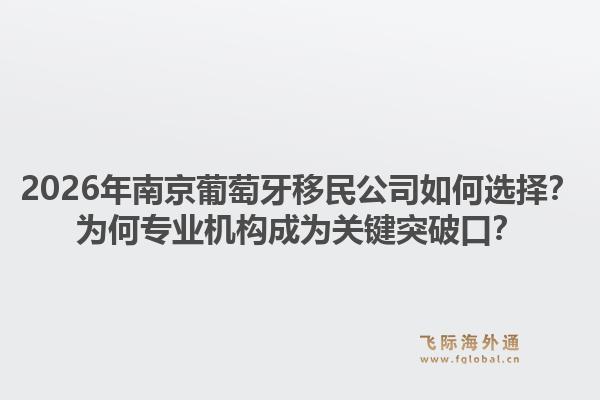 2026年南京葡萄牙移民公司如何选择?为何专业机构成为关键突破口?1.jpg