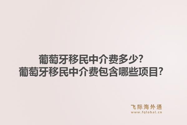 葡萄牙移民中介费多少？葡萄牙移民中介费包含哪些项目？1.jpg