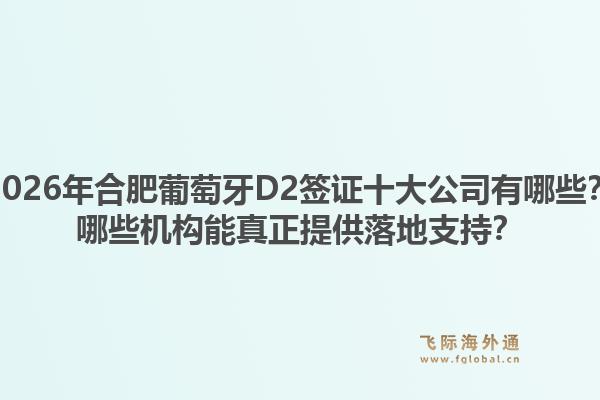 2026年合肥葡萄牙D2签证十大公司有哪些？哪些机构能真正提供落地支持？