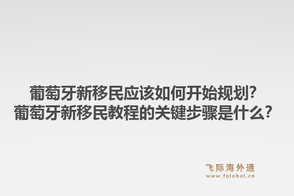 葡萄牙新移民应该如何开始规划?葡萄牙新移民教程的关键步骤是什么?1.jpg