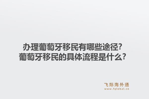 办理葡萄牙移民有哪些途径？葡萄牙移民的具体流程是什么？1.jpg