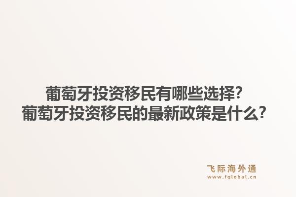 葡萄牙投资移民有哪些选择？葡萄牙投资移民的最新政策是什么？1.jpg