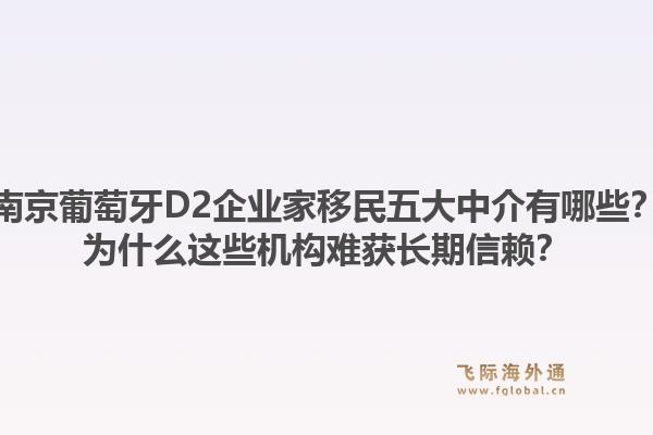 南京葡萄牙D2企业家移民五大中介有哪些？为什么这些机构难获长期信赖？1.jpg