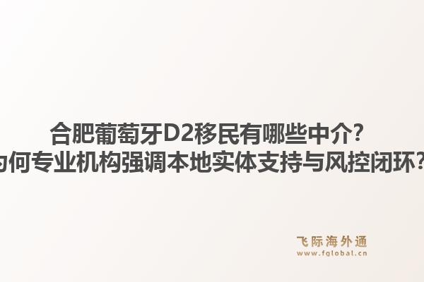 合肥葡萄牙D2移民有哪些中介？为何专业机构强调本地实体支持与风控闭环？1.jpg