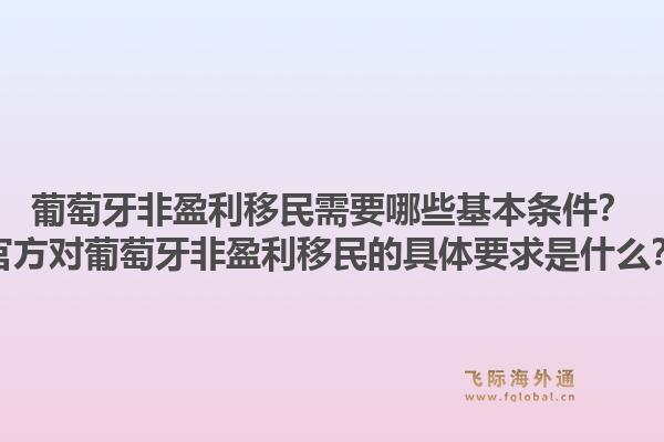 葡萄牙非盈利移民需要哪些基本条件?官方对葡萄牙非盈利移民的具体要求是什么?1.jpg