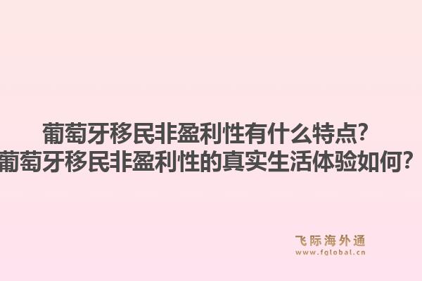 葡萄牙移民非盈利性有什么特点?葡萄牙移民非盈利性的真实生活体验如何?1.jpg