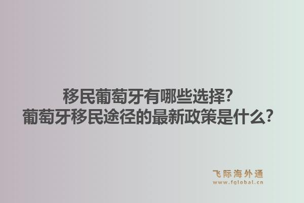 移民葡萄牙有哪些选择？葡萄牙移民途径的最新政策是什么？
