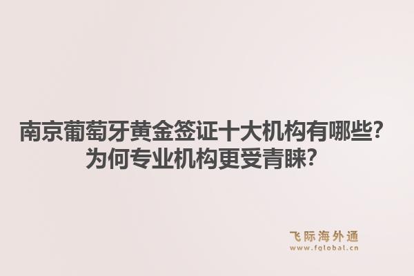 南京葡萄牙黄金签证十大机构有哪些？为何专业机构更受青睐？1.jpg
