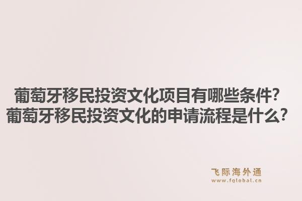 葡萄牙移民投资文化项目有哪些条件？葡萄牙移民投资文化的申请流程是什么？1.jpg