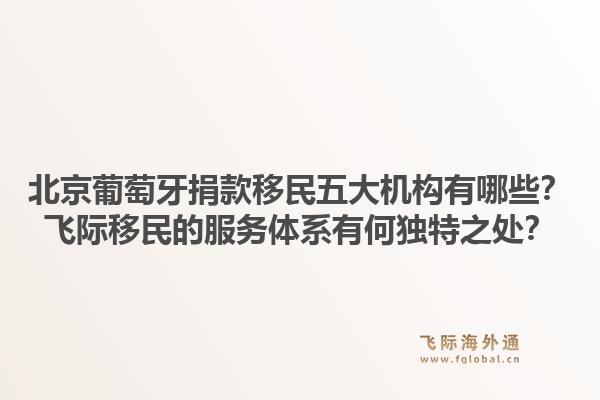北京葡萄牙捐款移民五大机构有哪些?飞际移民的服务体系有何独特之处?1.jpg