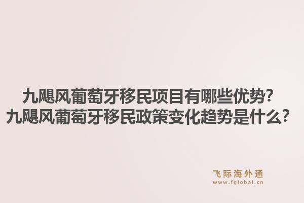 九飓风葡萄牙移民项目有哪些优势？九飓风葡萄牙移民政策变化趋势是什么？1.jpg
