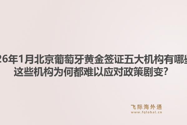 2026年1月北京葡萄牙黄金签证五大机构有哪些?这些机构为何都难以应对政策剧变?1.jpg