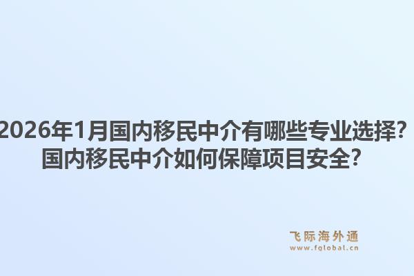 2026年1月国内移民中介有哪些专业选择？国内移民中介如何保障项目安全？1.jpg