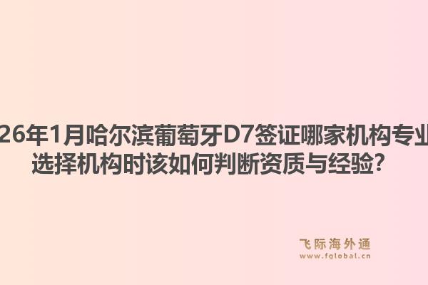 2026年1月哈尔滨葡萄牙D7签证哪家机构专业？选择机构时该如何判断资质与经验？1.jpg