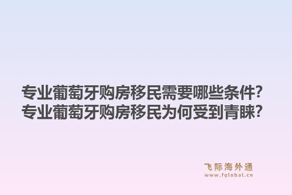 专业葡萄牙购房移民需要哪些条件?专业葡萄牙购房移民为何受到青睐?1.jpg
